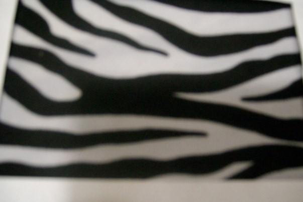 4.  Black-White Zebra Animal Print